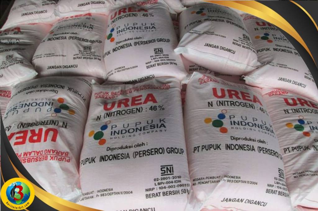 Petani Sibulue Keluhkan Pupuk Subsidi, BPP Sibulue: Tunggu Ketua Kelompok Tani Setor&nbsp;Nama