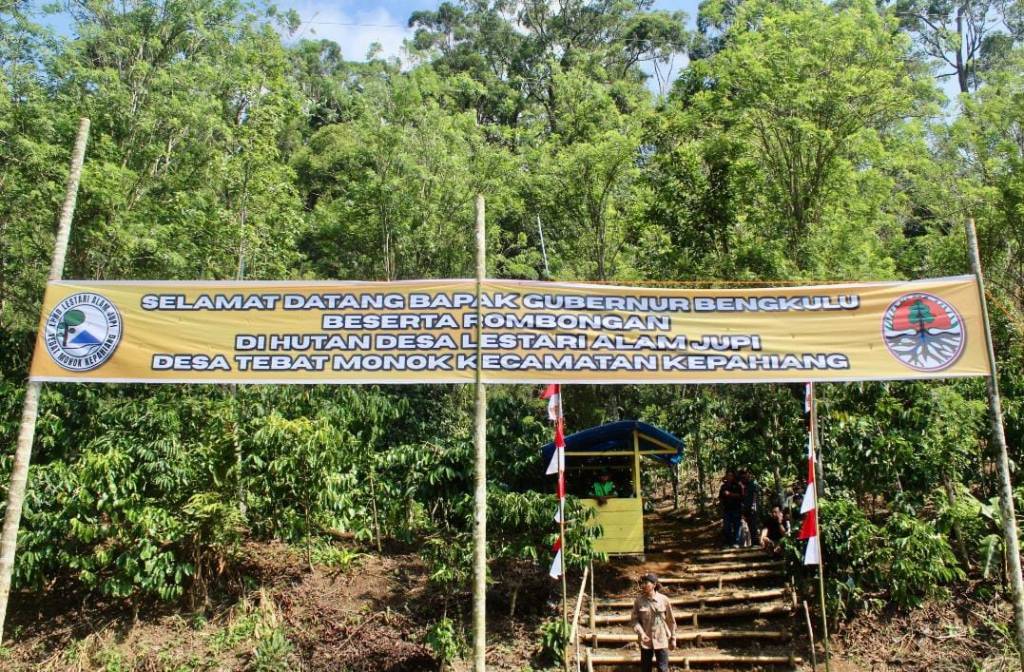 Wisata Alam Lestari Bukit Jupi: Destinasi Perhutanan Desa Pertama di Kepahiang yang Tawarkan Pesona Hutan&nbsp;Asli